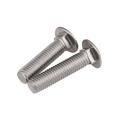 China Stainless Steel m5 m8 m20 15mm 30mm Stainless Steel Carriage Bolt Round Head Square Neck Bolt for sale