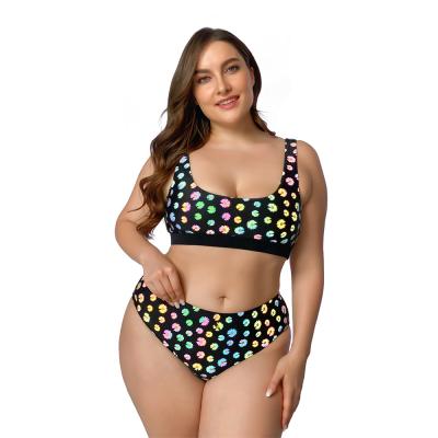 China Plus size 2022 color changing luxury high quality printing waist traje high fitness two piece women plus size bikini set swimwear and beach wear for sale