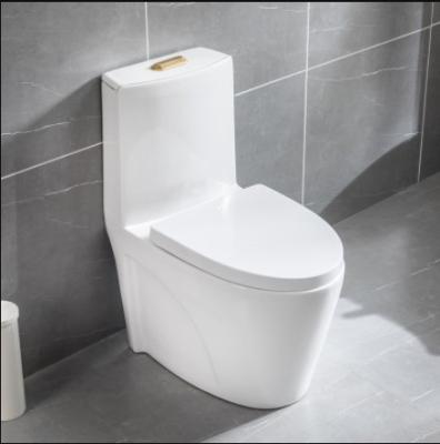 China Advanced Function Water Pressure Adjustment One Piece Toilet Bowl Fitting 300mm 400mm for sale