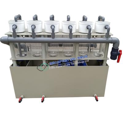 China Freshwater/Seawater Aquaculture hatchery catfish Incubator of acrylic glass with tapered bottom for sale