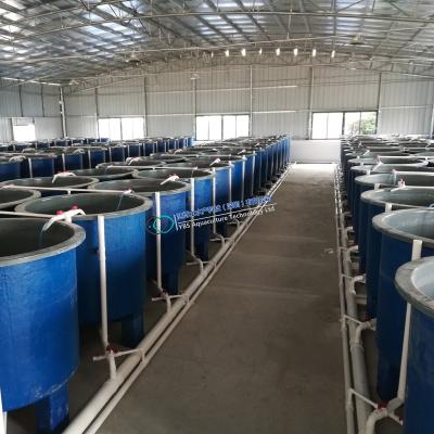 China Fish farming water treatment systems for offshore aquaculture and land based equipment supplying fresh perch for sale