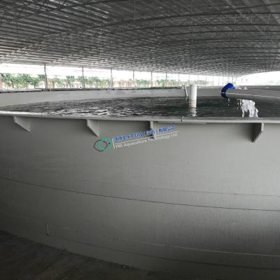 China Aquariums Aquaculture Cold Water Aquaculture Feeding Salmon Aquaculture Recycling System In Landbase for sale