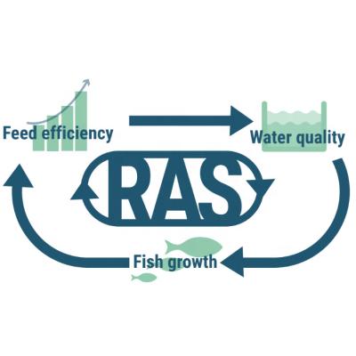 China Fish Farm RAS Indoor Saltwater Fish Shrimp Cultivating ,Ras Aquaculture Indoor Recycling System Equipment for sale