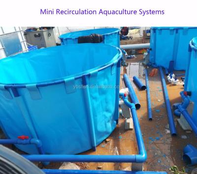 China Freshwater Aquaculture 10m3 Mini Recirculating Aquaculture Systems for Fish Seedling for sale