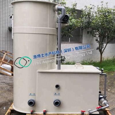 China Mini Household or Laboratory Aquaculture Recycling System (RAS) for Household or Laboratory for sale