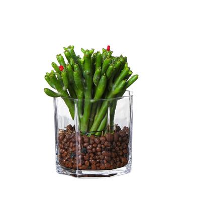 China Safe Chinese Glass Flower Plant Decoration Tank Room Hydroponic Plant Items for sale