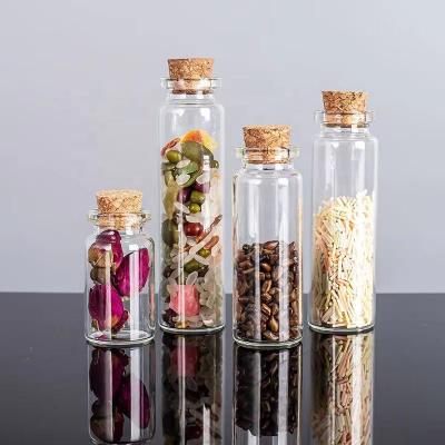 China Other Gift & Craft Small Borosilicate Tube Glass Mini Test Bottle With Cork And Aluminum Screw Cap for sale