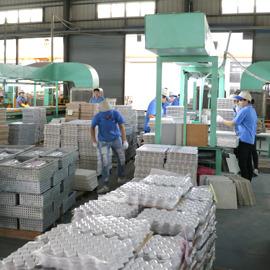 Verified China supplier - Foshan Ant Buying Service Co., Ltd.