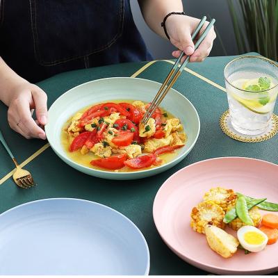 China Disposable Amazon 10 Inch Wheat Straw Tableware Environment Friendly Biodegradable Dish for sale