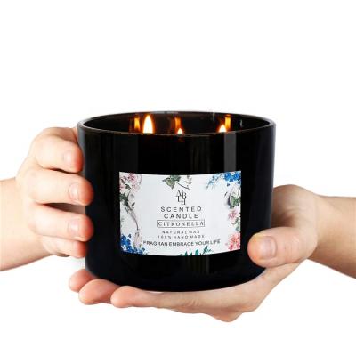 中国 Citronella oil mosquito repellent soybean candle aromatic candle plant essential oil smokeless environmental protection candle 販売のため