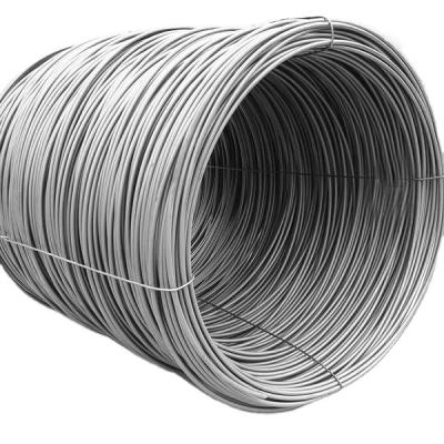 China Construction China Supplier Competitive Price 0.30 mm High Tensile Tensile Strength Hot Dipped Galvanized Carbon Steel Wire for sale