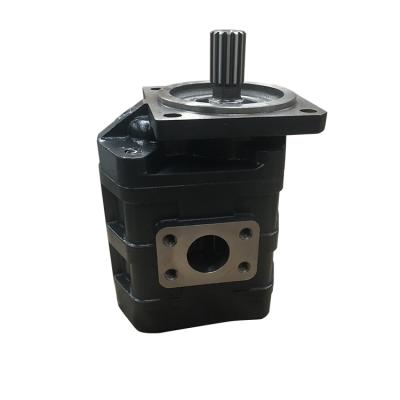 China Classic Machinery Repair Shops Design Wheel Loader Changlin Pump /CBGj2100/W-01-00134 Spare Parts for sale