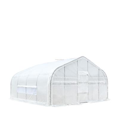 China High quality easily assembled 20ft x 20ft outdoor agricultural greenhouse for sale for sale