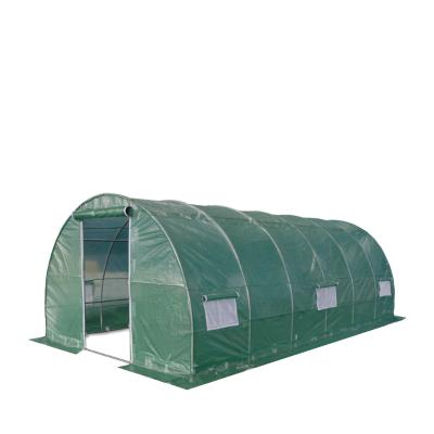 China Cheap Metal PE Green House /Garden Greenhouses / Other Greenhouse for sale