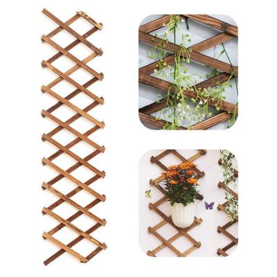 China Lattice Wood Decor Wall Garden Planter Expanding Vertical Hanging Planter Frame Wood Trellis Plant Wall Durable Material for sale