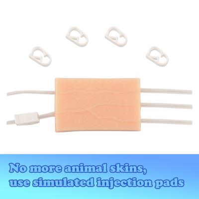 China Silicone+Acrylic Base Dermatoglyphic IV Injection Training Pad for Medical Injection Workshop or Medical Courses for sale