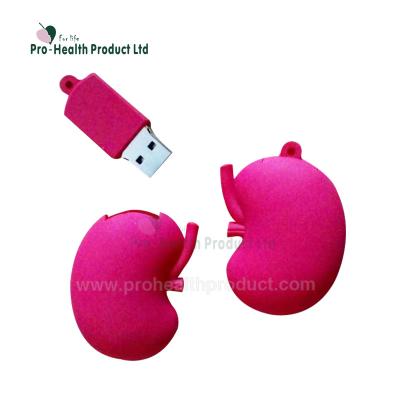 China Plastic Doctor Nurse Gifts Organ Kidney Shaped USB Flash Drive for sale