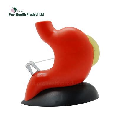 China Pharmaceutical Gifts ABS Plastic Plastic Stomach Shape Desktop Strip Dispenser for sale