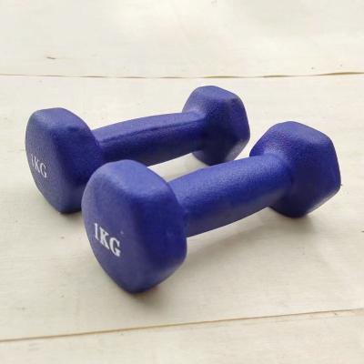 China Durable Soft Touch Dumbbell Neoprene Dumbbell Vinyl Dumbbell for sale