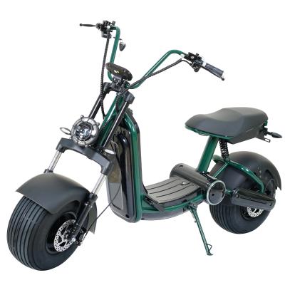 China City 1001-2000W Unisex Electric Motorcycle Scooter Adult Fast Motor Cocos for sale