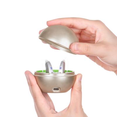 China 5G video directly connect rechargeable hearing aids for adults and seniors R95 hearing aid rechargeable for sale