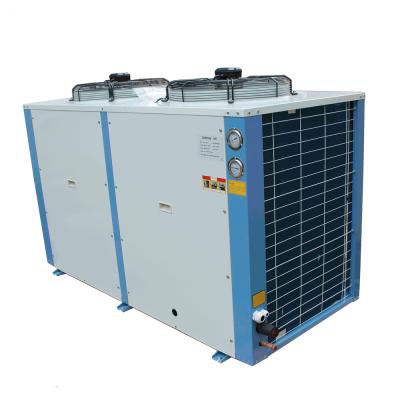 China New Hotels Air Cooled Low Temperature Condensing Unit For Cold Room And Storage Warehouse for sale