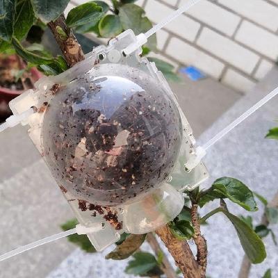 China Plastic Plant Root System Plant Rooting Growing Rooting Ball Grafting Grafting Plant Pod Root Breeding for sale