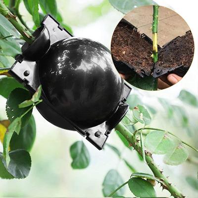 China Grafting Growing Rooting Plant Pod Air Clear Rooting Ball Black PP High Pressure Graft Rooting Device Grafting Device for sale