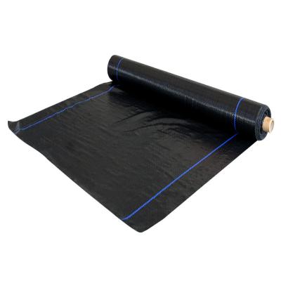 China Control Layer Protection/Grass Surface/Anti Insert/Floor Surface Polypropylene Woven Geotextiles Fabric Manufacturer Agricultural Fabric Black Whole Green Ground Tarpaulin for sale