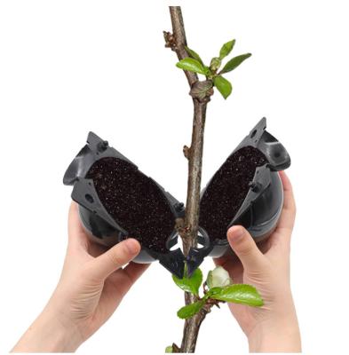 China Grafting Reusable Plastic Plant Root Box Rooting Ball Growing Growing High Pressure Graft Controller for sale