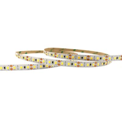 China LANDSCAPE 2835 5050 Old White SMD LED Strip Light DC12V RGB LED Strip Light Waterproof Flexible 120 LED Strip for sale