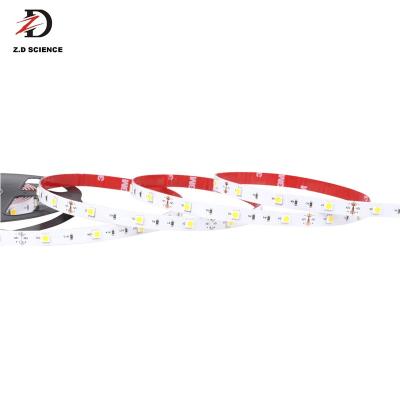 China LANDSCAPE Super Efficiency Single Row LED Strip 2835 120LED 12V 24V White LED Strip 5050 LED Strip Light for sale