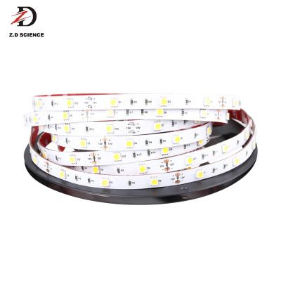 China Good Quality LANDSCAPE RGB LED Strip Light 5050 White Light 150LED 300LED 14.4W LED Strip Lights for sale