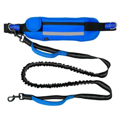 China Personalized Hot Selling Amazon Dog Leash With Belt And Bag Human Strong Nylon Dog Leash for sale