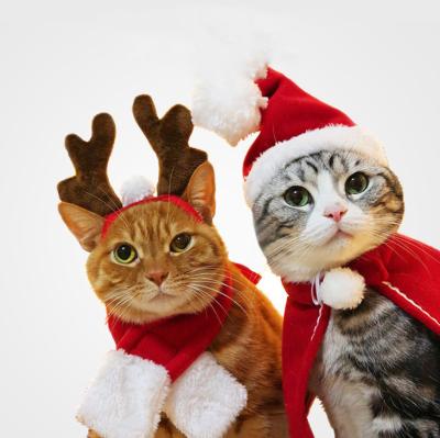 China Stocked Customized Matching Pet Clothes Accessories Christmas Pet Gift Hat Scarf Coat Winter Clothes for sale