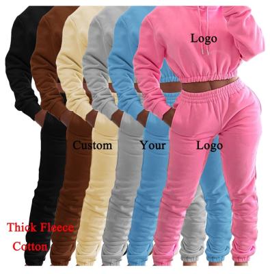 China Breathable In Stock 2021 Thick Fleece Sweatpants And Hoodie Suit Sportswear Winter Women Jogging Two Piece Set for sale