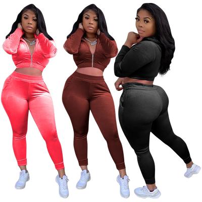 China 2021 New Breathable Wholesale Tracksuit Two Piece Equipment Pants For Women Velvet 2 Pcs Jogger Set Woman Trial Suit for sale