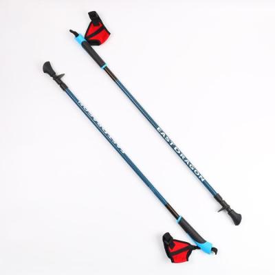 China Outdoor Shockproof Telescopic Outdoor Nordic Mountaineering Stick Shockproof Walking Stick Camping Shockproof Walking Stick for sale