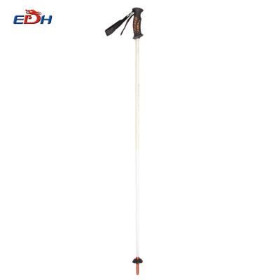 China Plastic Winter Sports Heated Ski Pole Custom Nordic Ski Pole for sale