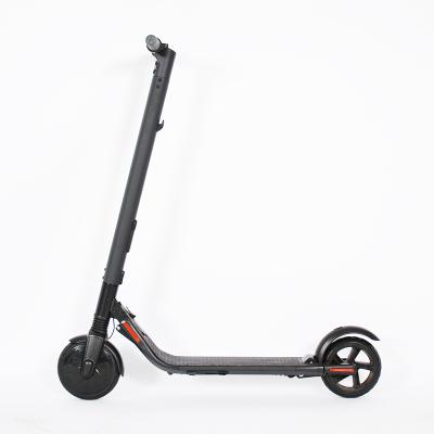 China 5.2 10 AH Unisex 2G 4G IOT 8 Inch High Quality 36V 300W Shared Electric Scooter for sale