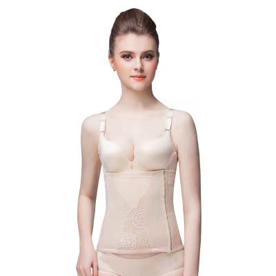 China Apricot Sustainable Diet Nylon Soft Plus Size Breasted Waist Trainer Belt Bustier Top Corset Shapewear for sale