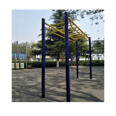 China Fitness Exercise Outdoor Fitness Ladder Aerial Horizontal Monkey Bar For Kids Children Steel for sale