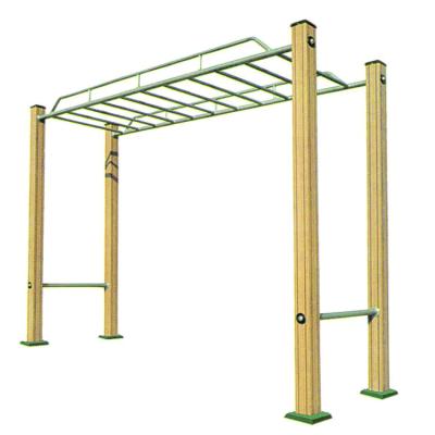 China Fitness Exercise New Style Aerial Ladder Outdoor Gym Equipment For Parks Monkey Bars for sale