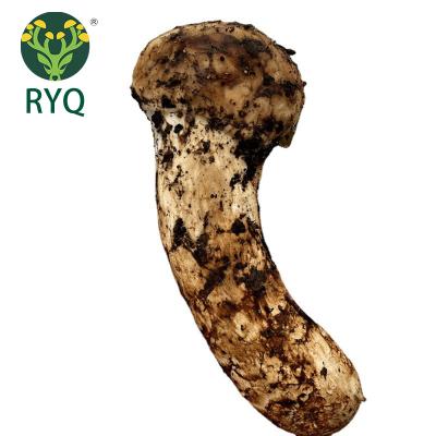 China Bulk RYQ Mushroom Soup Base Selected Fresh Dry Raw Lentinus Edodes Mushroom for sale