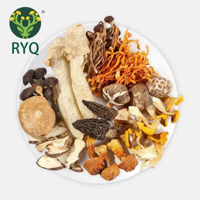 China RYQ Nutritious Vegetable Soup Bag Lazada Mushroom Dry Hot Bulk Mushroom For Herbal Lover for sale