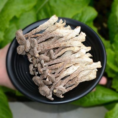 China RYQ Factory Price Dried Black Velvet Mushroom Mushroom For Instant Mushroom Soup In Bulk for sale