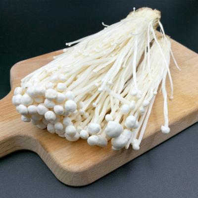 China Organic Raw Origin Spreads Fresh Whole Gluten Free Enoki Spreads For Eating Fresh Restaurant Standard With ISO Certificated for sale