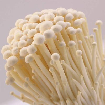 China Healthy Typical Delicious Organic Whole Foods Vitamin Fresh High White Enoki Sprinkles For Instant Mushroom Soup With GAP Cert for sale