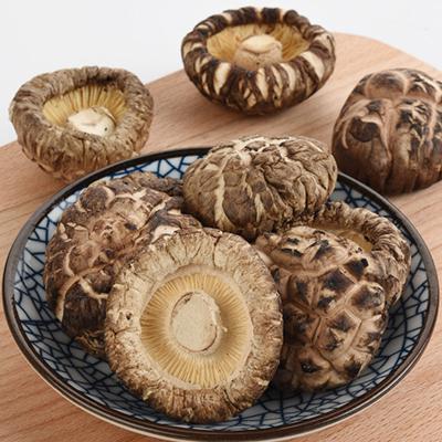 China RYQ Lentinus Edodes Shiitake Mushroom Price Dried High Quality Dehydrated Mushrooms Free of Gluten, Dairy, and Soy for sale