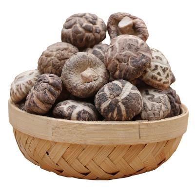 China LOW MOQ Shopee Dry Hot Shiitake Sprouts Price 1Kg Factory Supply Flower Mushroom 500G OEM for sale